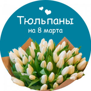 Купить тюльпаны в Георгиевске